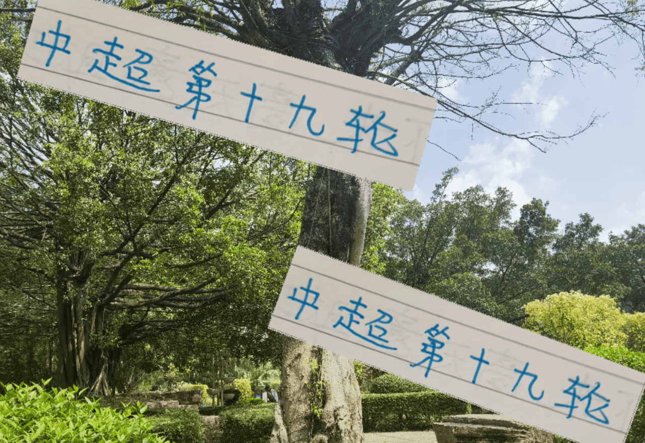 度不大, 赛季申花第